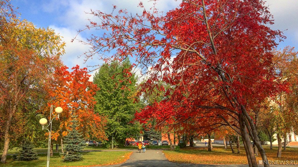 19 ноября ожидаются следующие события – Челябинск