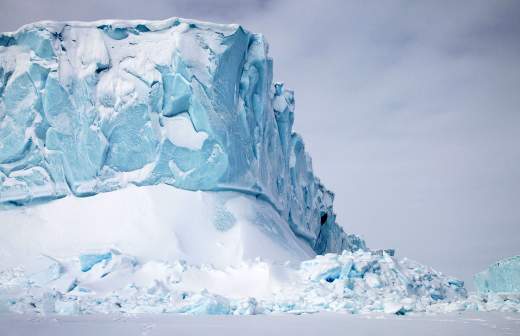 Трамп намерен отправить в Гренландию госпитальное судно