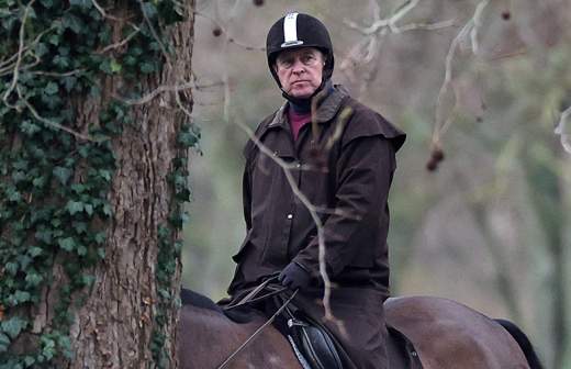 Захарова сравнила произошедший скандал вокруг экс-принца Эндрю с «цирком уродов»