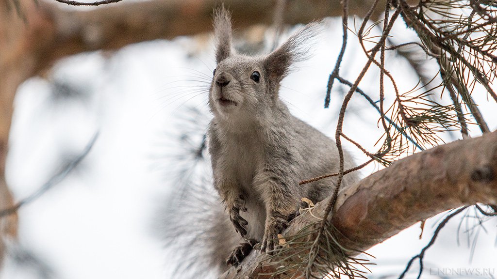 28 февраля – 2 марта ожидаются следующие события – Челябинск