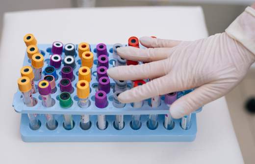 Путин утвердил положение о Главном штабе войск национальной гвардии России