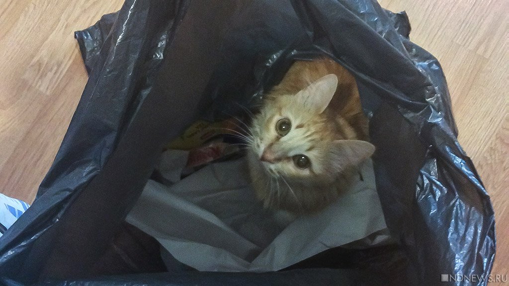 13 марта ожидаются следующие события – Челябинск