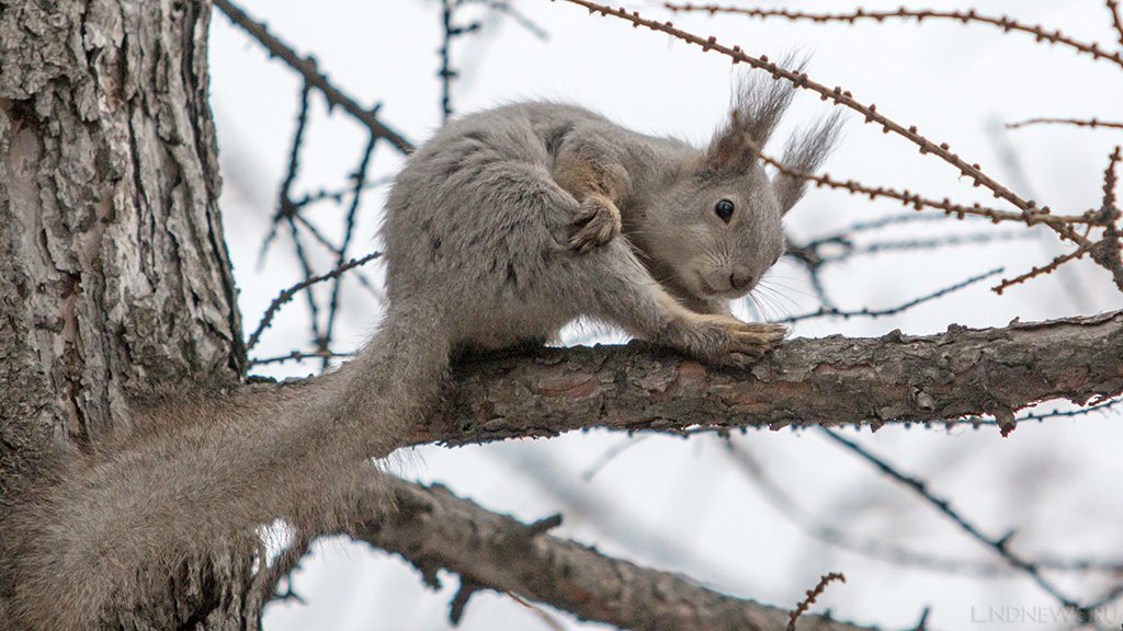 16 марта ожидаются следующие события – Челябинск