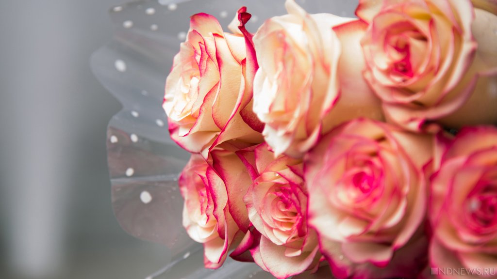 7 марта ожидаются следующие события – Челябинск