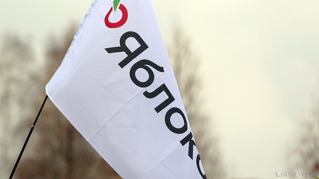 Партия «Яблоко» выдвинула кандидатов в заксо