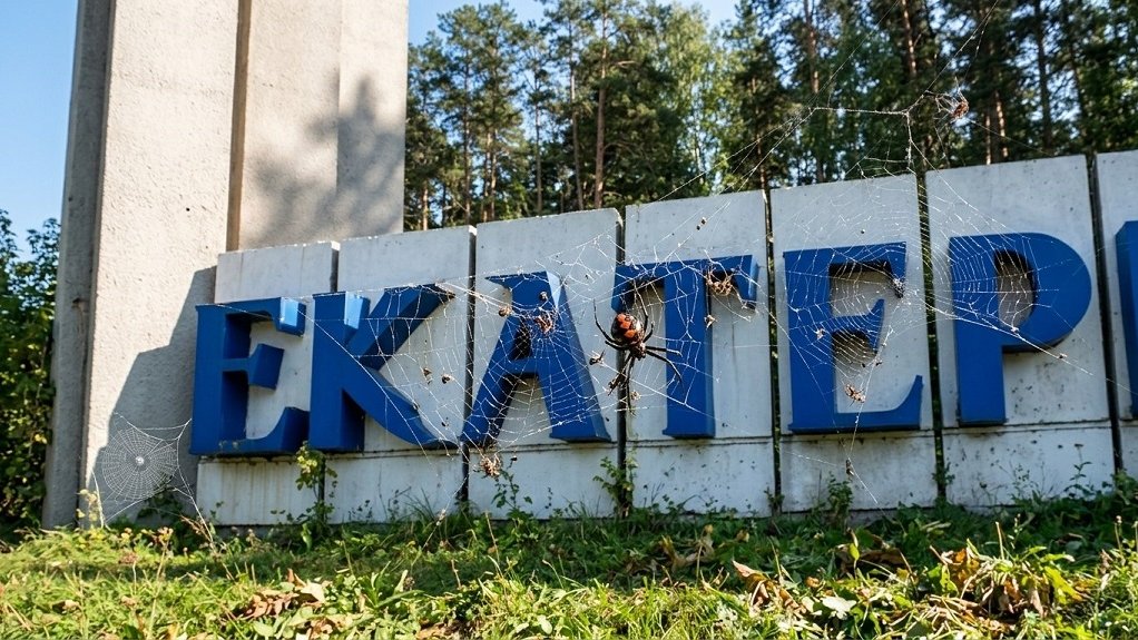 На Урале заметили смертельно опасных пауков. Чего нельзя делать при укусе